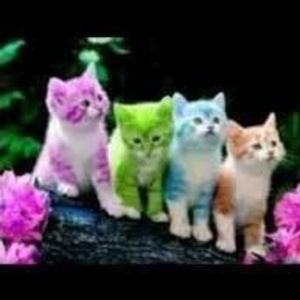 Meet your Posher, Rebekka